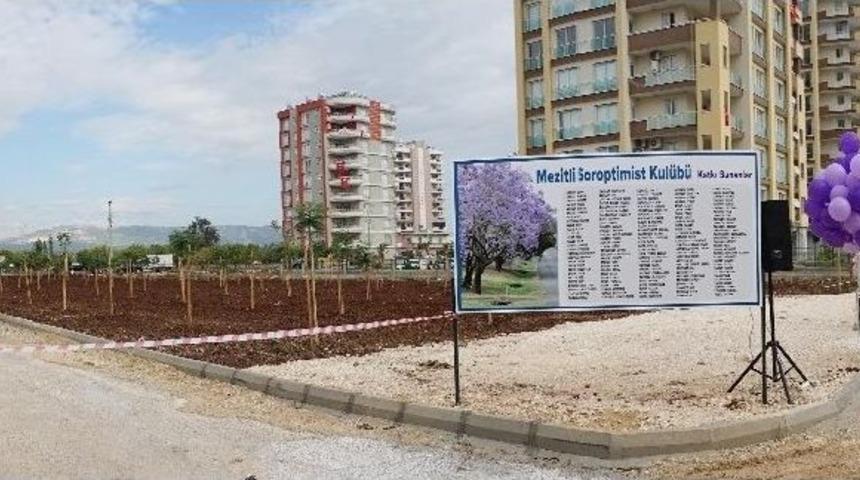 Mezitli, Jacaranda Koruluklarıyla Mora B&uuml;r&uuml;necek