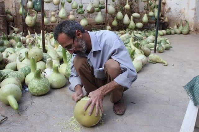 Kabağın Sanatla Buluşması