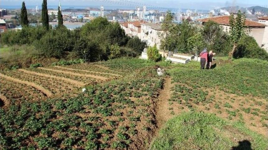 Kdz. Ereğli&rsquo;de &Ccedil;elik&rsquo;ten &Ccedil;ileğe D&ouml;n&uuml;ş &Ccedil;abası