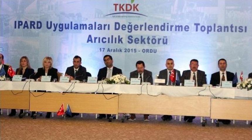 Arıcılık Sekt&ouml;r&uuml; Ordu&rsquo;da Toplandı