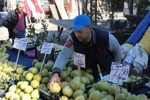 Meşhur Deveci Armudu Tekirdağ’da Halk Pazarında