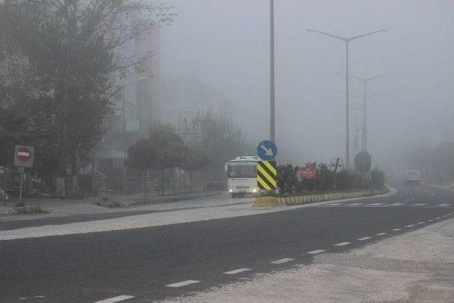 Osmaneli’de Sisli Hava Trafiği Olumsuz Şekilde Etkiliyor