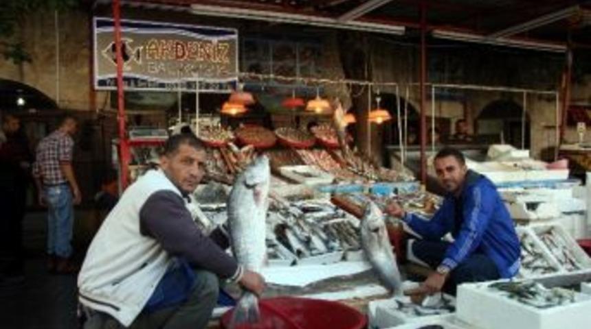 Kilis&rsquo;te Balık Satışlarına Yoğun İlgi
