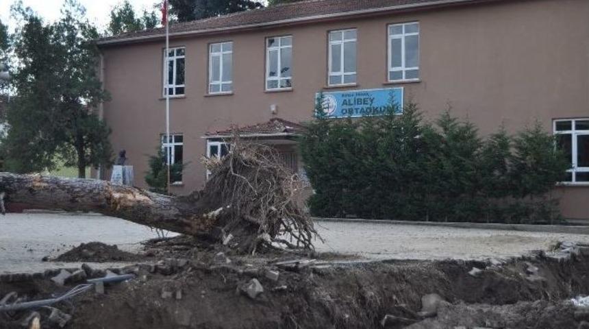 Okul Bah&ccedil;esindeki Ağa&ccedil;ların Kesilmesine Tepki