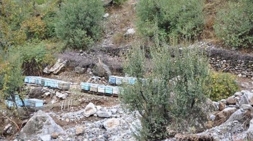 Sason&rsquo;da Aşırı Yağış K&ouml;y Yollarını Ulaşıma Kapattı