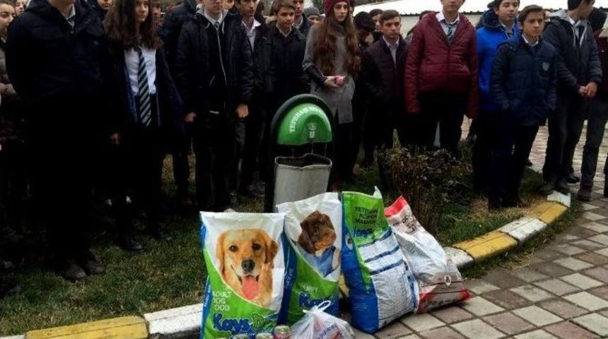 Eal &Ouml;ğrencilerinden Anlamlı Davranış