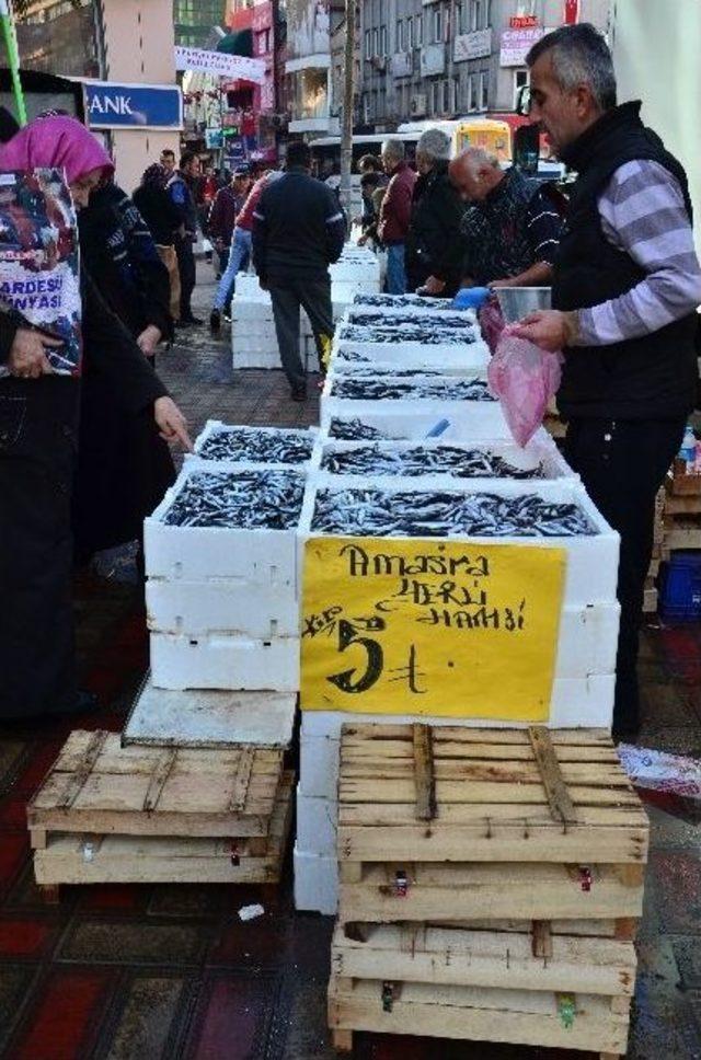 Balıkçılardan ‘bayat Balık’ Tepkisi