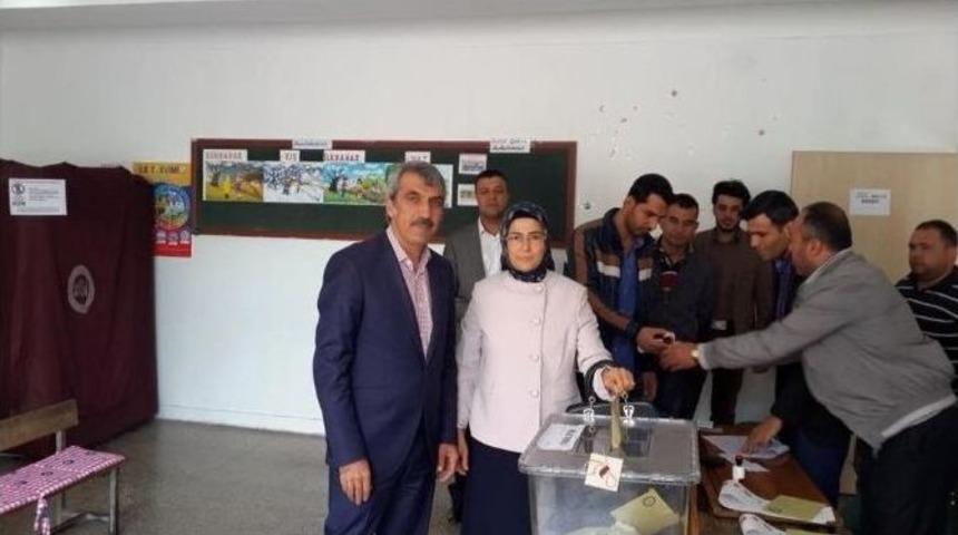 Milletvekili Dal, Oyunu Kullandı