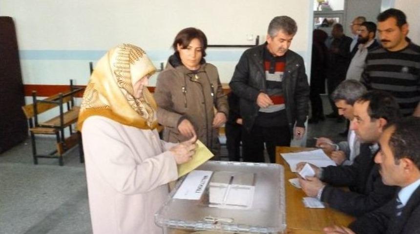 Turhal Sandık Başında