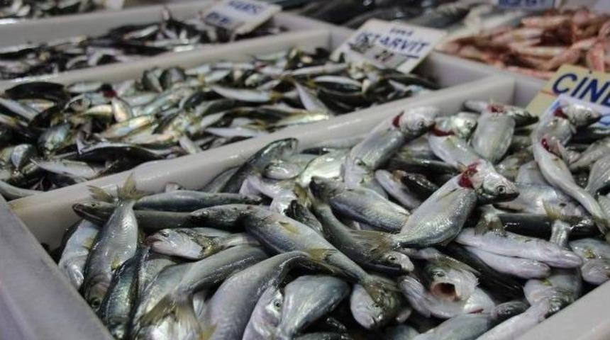 Sağlığınız İ&ccedil;in Balık T&uuml;ketin