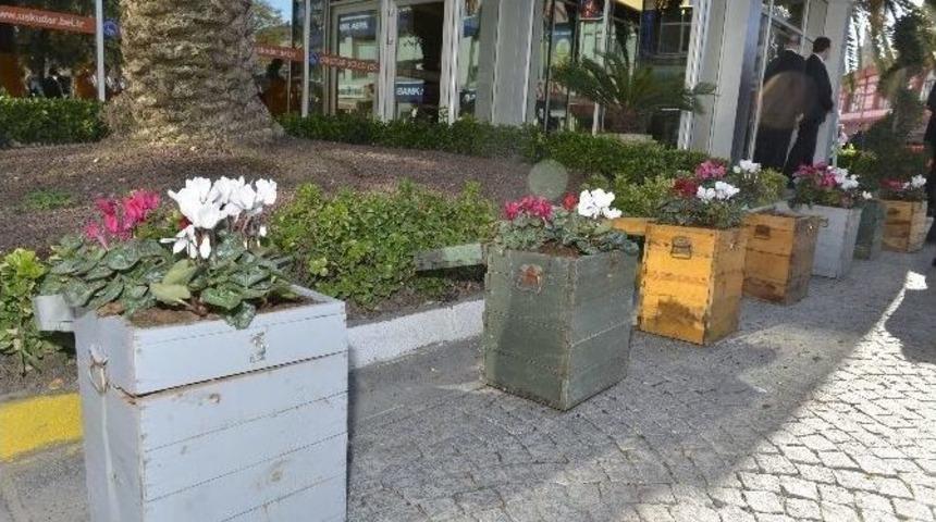 &Uuml;sk&uuml;dar&rsquo;da Eski Se&ccedil;im Sandıkları &Ccedil;i&ccedil;ek A&ccedil;tı