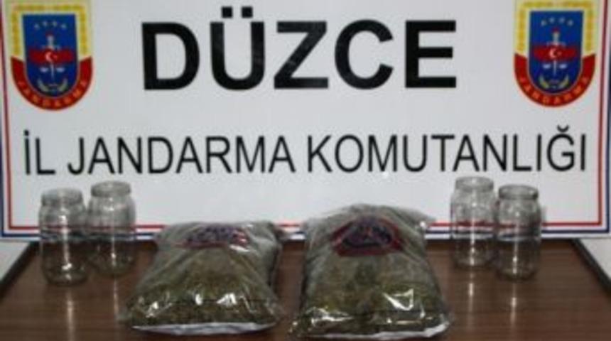 Kavanozlardan Uyuşturucu &Ccedil;ıktı