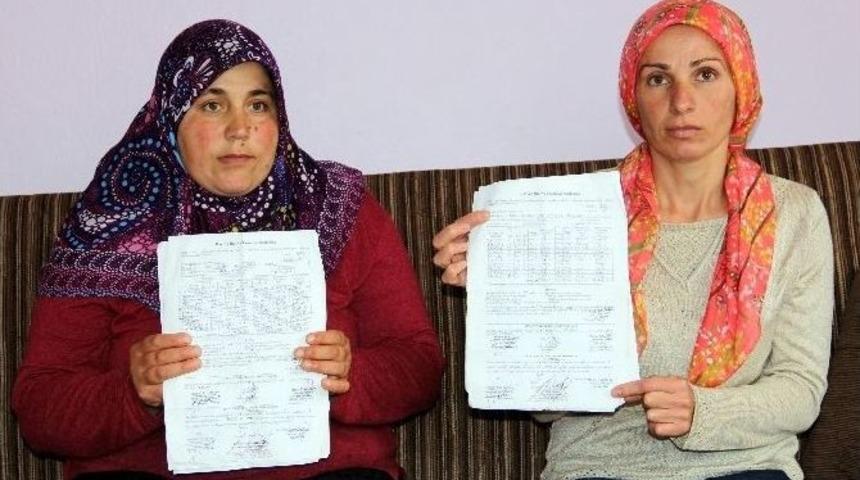 Kastamonu&rsquo;da 40 B&uuml;y&uuml;kbaş Hayvan, T&uuml;berk&uuml;lozdan Telef Oldu