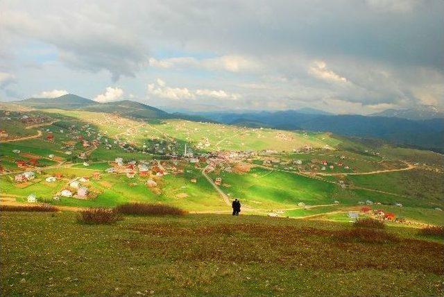 Arap Medyası Ordu’da Toplanıyor