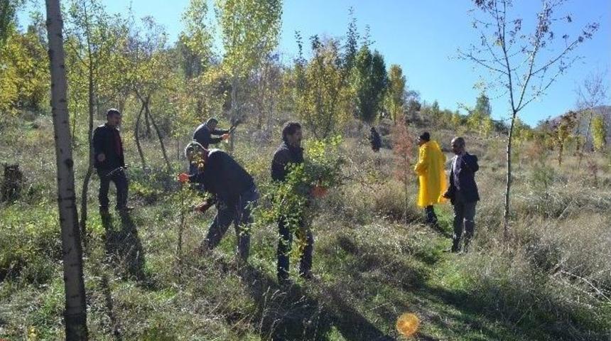 Muş&rsquo;ta Mezarlıkların Bakımı Yapılıyor
