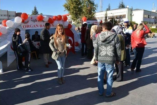 Niğde’de Organ Bağışı Standı Açıldı