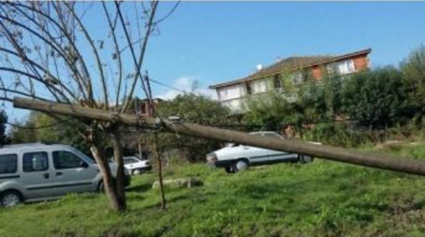 Yıkılan Telefon Direği Tadilat Bekliyor