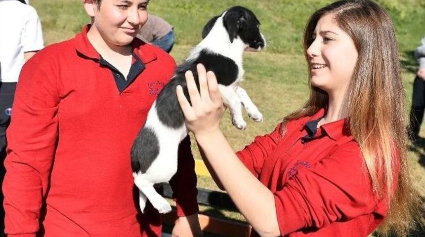 &Ouml;ğrencilerden Muratpaşa Veterinerliğe Tam Not