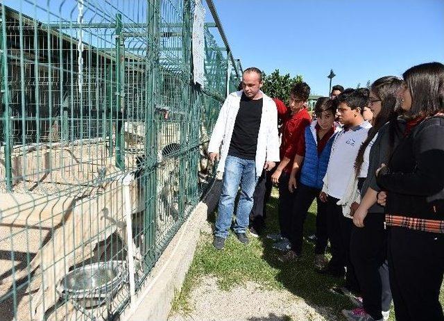 Öğrencilerden Muratpaşa Veterinerliğe Tam Not