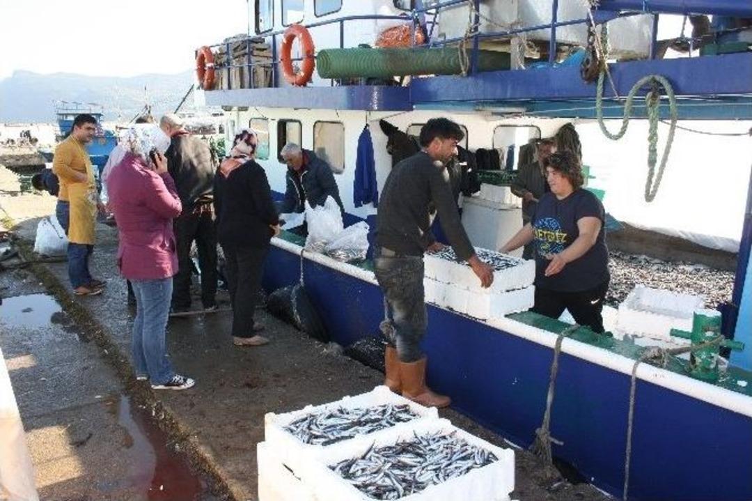 Amasra&rsquo;da Hamsi 50 Kuruş