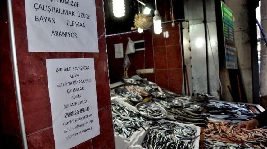 &Ccedil;alıştıracak Personel Bulamayan Giresunlu Balık&ccedil;ıdan İlgin&ccedil; İlan