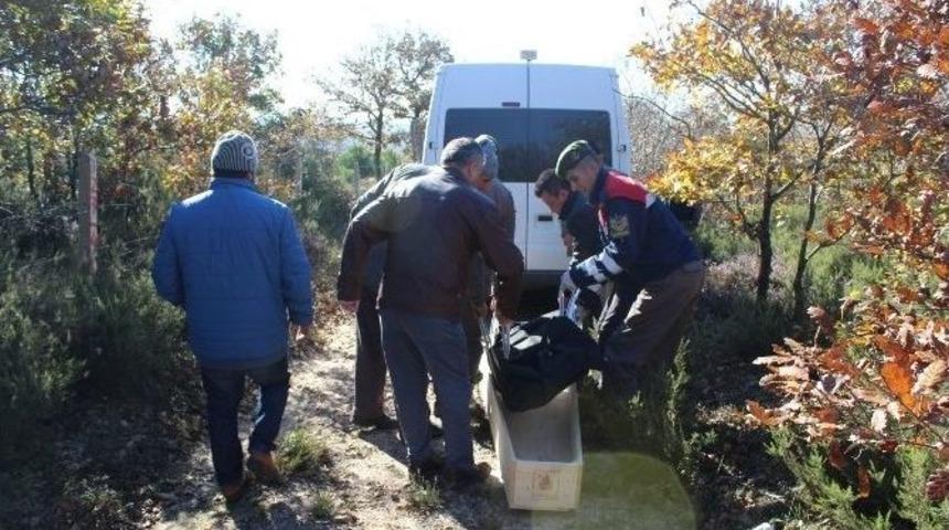 60 Yaşındaki &Ccedil;obanın Cesedi Arazide Bulundu
