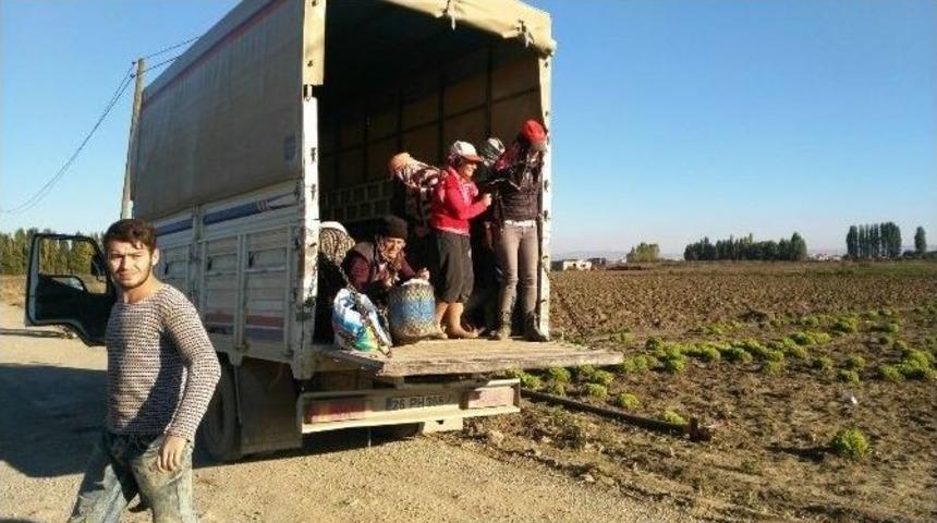 Mevsimlik İş&ccedil;ileri Taşıyan Ara&ccedil;lara Jandarma Kontrol&uuml;