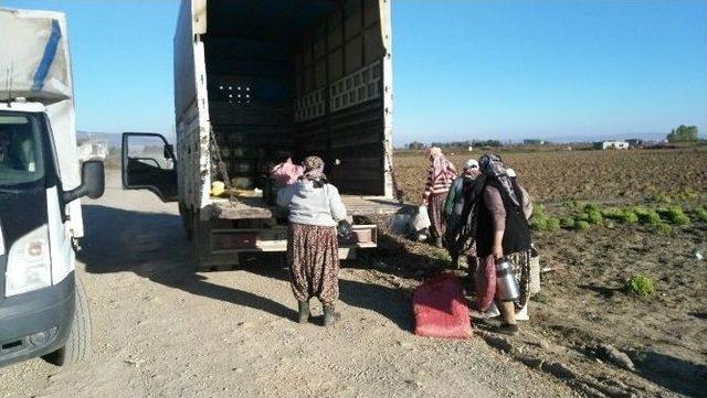 Mevsimlik İşçileri Taşıyan Araçlara Jandarma Kontrolü