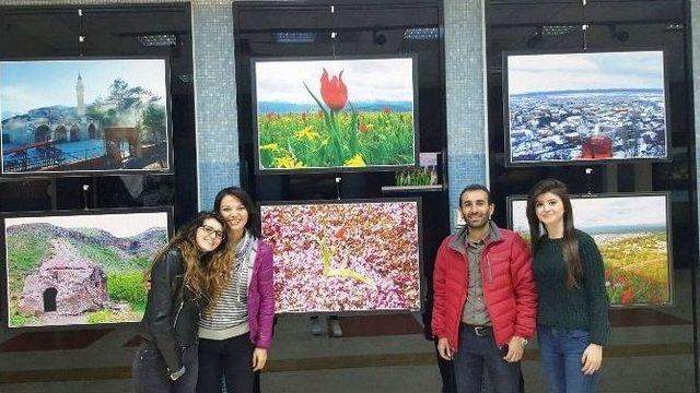 Ankaralılar ‘lalenin Yolculuğu Ve Muş’ Sergisine Hayran Kaldı