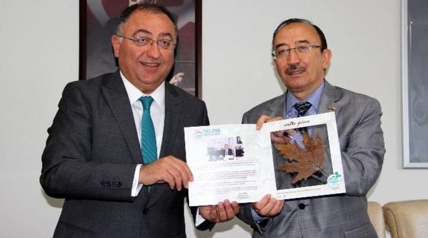 2. Uluslararası Resim Sempozyumu Yalova&rsquo;da Yapılacak