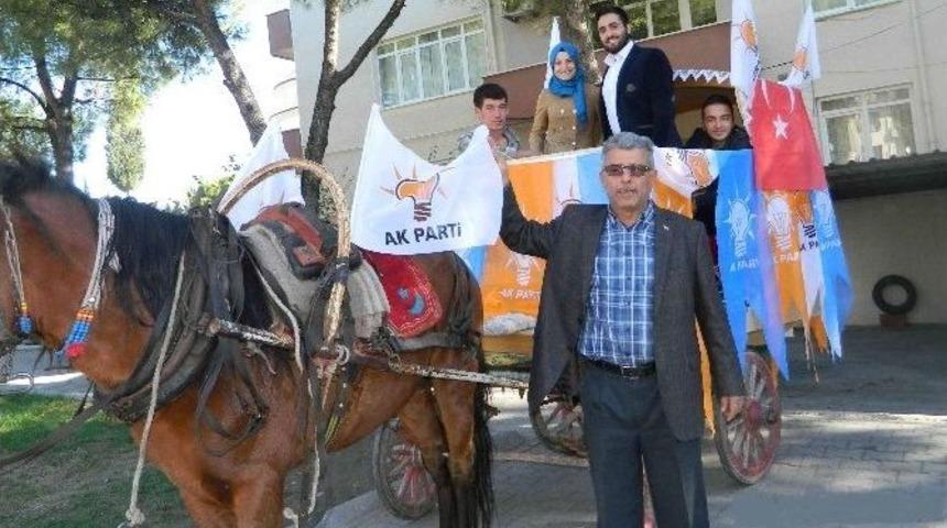 Ak Parti Kazanınca Faytonu S&uuml;sleyip Muğla Sokaklarını Gezdi
