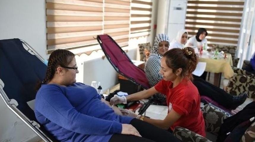 Her Kan Bağışı İ&ccedil;in Fidan Dikiliyor