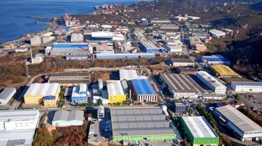 Doğu Karadeniz B&ouml;lgesi Ekonomisinde Organize Sanayi B&ouml;lgelerinin Yeri