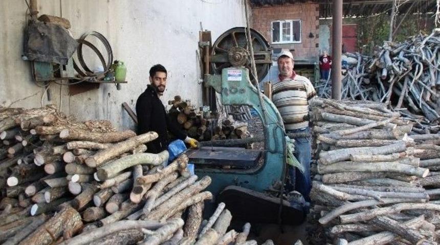 Oduncular Ayakta Durmaya &Ccedil;alışıyor