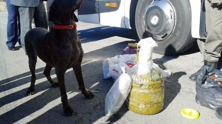 Salamura Yaprakla Esrar Sevkıyatı