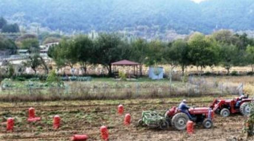 Fiyatı Bir D&ouml;nem 5 Liraya Kadar &Ccedil;ıkan Patates 40 Kuruşa D&uuml;şt&uuml;