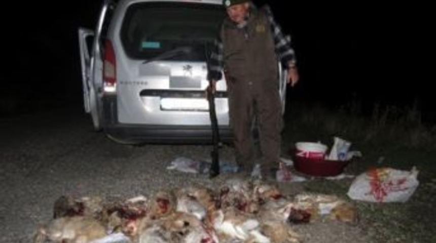 16 Adet Yaban Tavşanını Vuran 4 Kişi Yakalandı