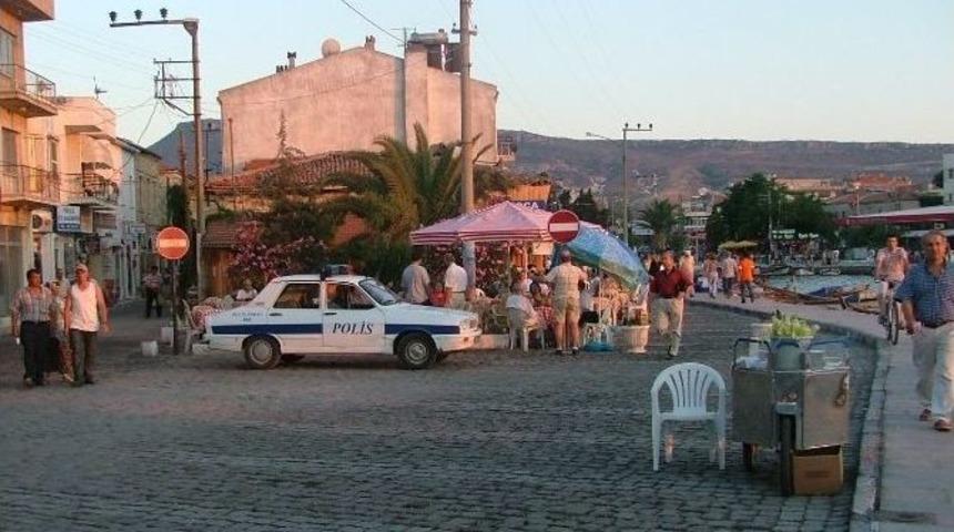 Yazılara Konu Olan 65 Yıllık Palmiye Ağacını K&ouml;k&uuml;nden Kestiler