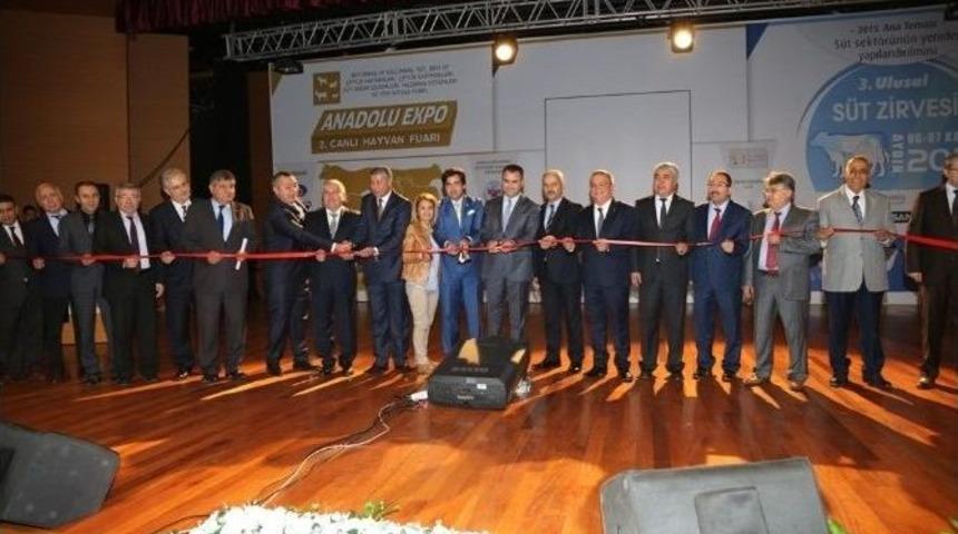 Anadolu Expo 2. Canlı Hayvan Fuarı Kuşadası&rsquo;nda Başladı