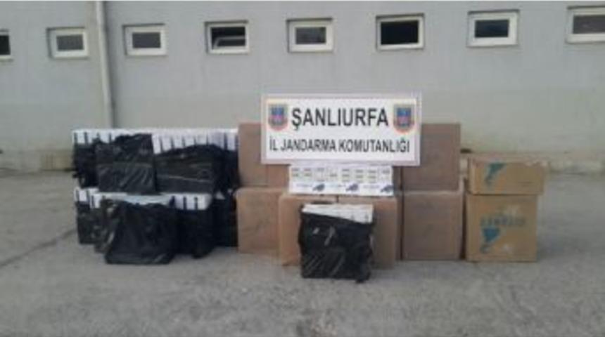 Şanlıurfa&rsquo;da 15 Bin Paket Ka&ccedil;ak Sigara Ele Ge&ccedil;irildi