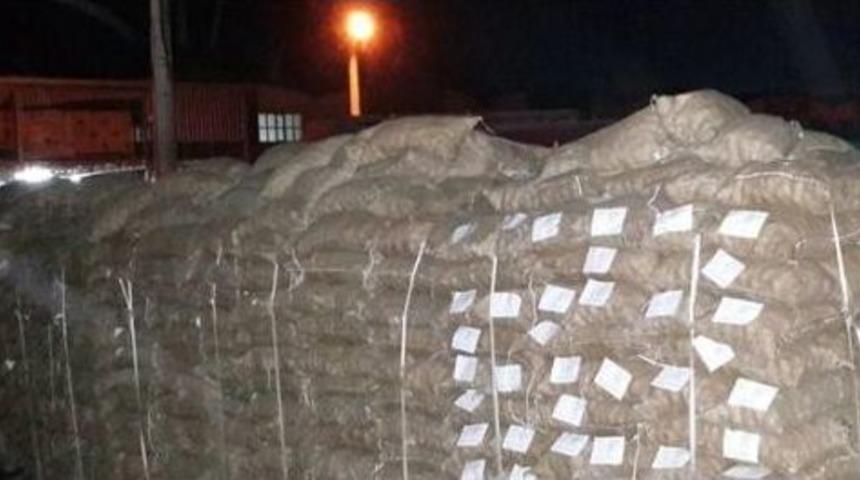 Aydın&rsquo;da İlk Kestane İhracatı Başladı