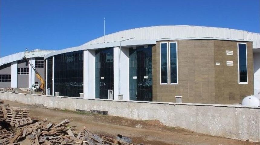 Olimpik Y&uuml;zme Havuzu Ve Spor Salonu Son Aşamada