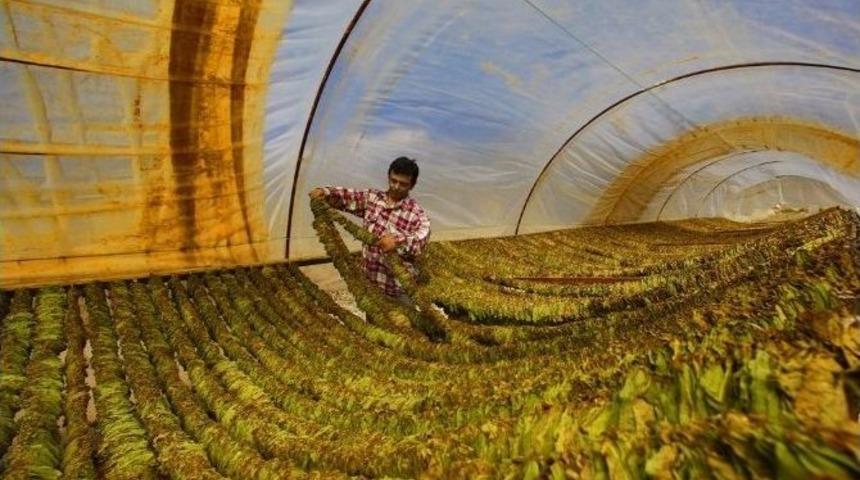 Denizli’de 2. Ulusal Fotoğraf Yarışması’na Yoğun İlgi