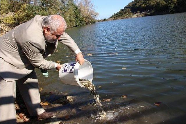 Yavru Balıklar Öğrencilere Burs Olarak Dönecek