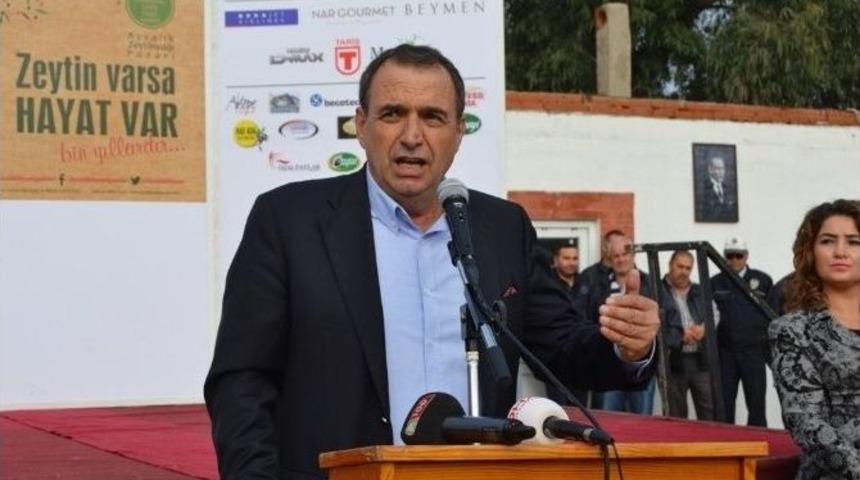 Ayvalık’ta 11. Uluslararası Zeytin Hasat Günleri Başladı