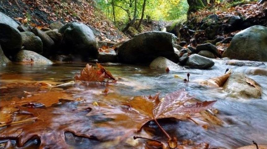 Tekirdağ&rsquo;da Sonbaharın G&uuml;zelliği