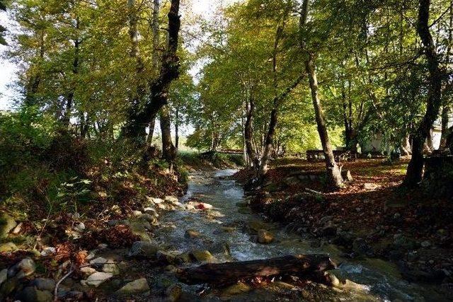 Tekirdağ’da Sonbaharın Güzelliği