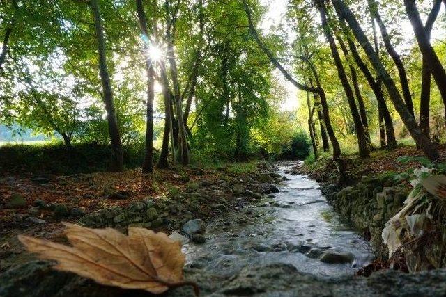 Tekirdağ’da Sonbaharın Güzelliği