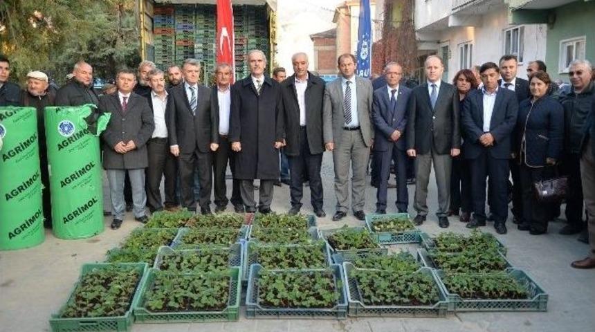 &Ccedil;ilekte Kalite B&uuml;y&uuml;kşehir İle Artıyor