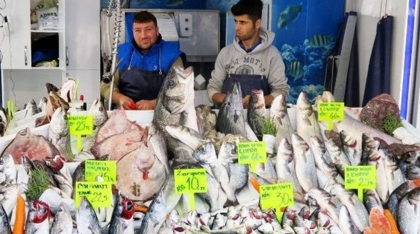 Marmara&rsquo;da Balık Bereketi